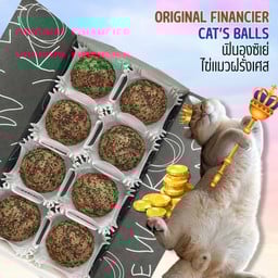 ไข่แมวฝรั่งเศสออริจินอล ORIGINAL FINANCIER
