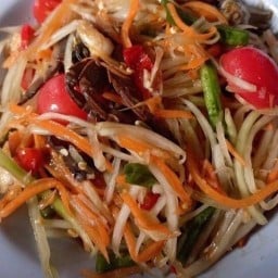 ครัวนกฮูก