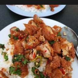 กะเพราไก่ทอดราดจ้าว