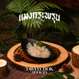 แมงกะพรุน