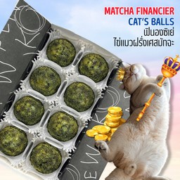 ขนมไข่แมวฝรั่งเศสมัทฉะ MATCHA FINANCIER