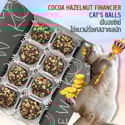ขนมไข่แมวฝรั่งเศสโกโก้ฮาเซลนัท COCOA HAZELNUT FINANCIER