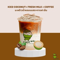 มะพร้าวน้ำหอมนมสดกาแฟเย็น
