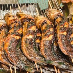 ปลาดุกย่าง