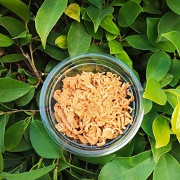 ดองดาเด้อ กุ้งม่อน by KT