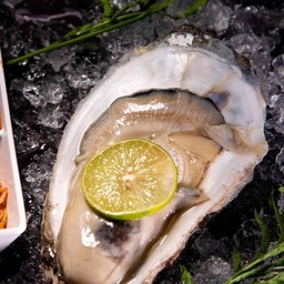 นางรมสุราษไฮโซ (ชุด 2 ตัว)