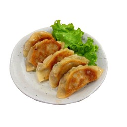 ♦︎No.     50 Gyoza