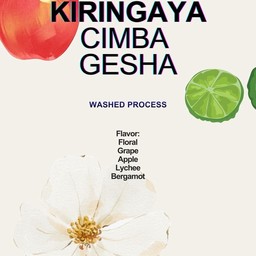 Kiringgaya Cimba Gesha