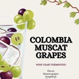 Colombia muscat grapes