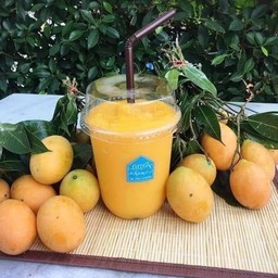 มะยงชิดปั่น