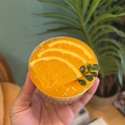 Orange cheese yogurt pie