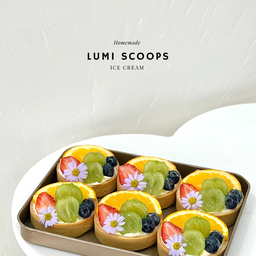 Lumi Scoops Lumi Scoops