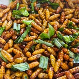 แมลงทอด&หมูย่าง by ครัวบ้าน ทหารนัท