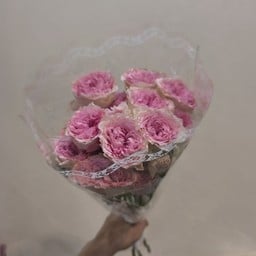 Tulip Flower Shop Patong Tulip Flower Shop Patong