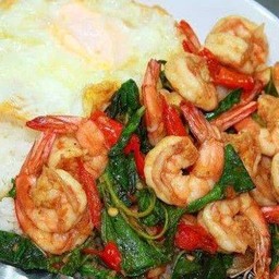 กระเพรากุ้ง