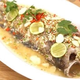 ปลาเก๋านึ่งมะนาว  Steamed grouper with lemon