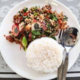 กระเพราตามสั่งนายจืด 666