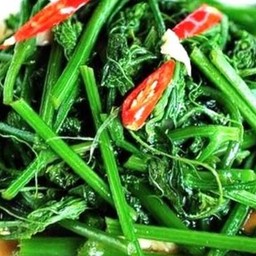 ผัดยอดมะระไฟแดง