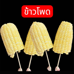 ข้าวโพดย่าง