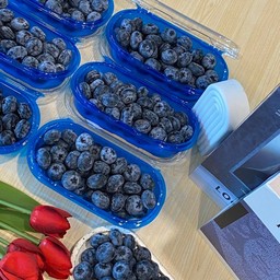 บลูเบอรี่เกรดพรีเมี่ยม จัมโบ้ หวานกรอบ 200 กรัม