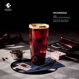 AMERICANO - NICARAGUA JAVA FINCA LOS ALTIPLANOS