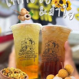เก๊กฮวย
