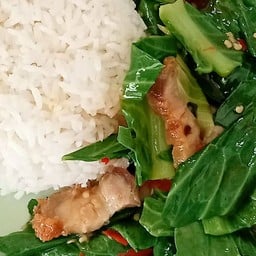 ดีโภชนา ( เจ้าเก่าโรบินสันโอเชี่ยน )