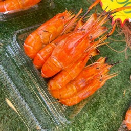 กุ้งเผา กุ้งสด อาหารทะเลสด by.กิ๊ก ตลาดนัดโดมอ่าวอุดม