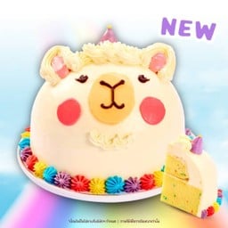 [Special Deal] เค้กเบบี้ อัลปาก้า บัทเทอร์เรนโบว์