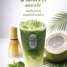 มัทฉะเชียงใหม่น้ำมะพร้าว