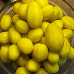 มะกอก ดอง