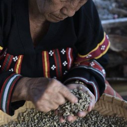 Mo On เหมืองแก้ว