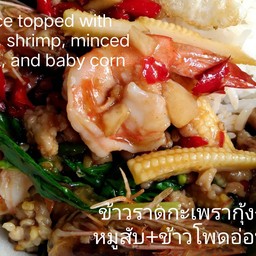 ข้าวผัดกะเพรากุ้ง (ผสมหมูสับ)+ ข้าวโพดอ่อน