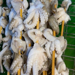 หมึกสายย่าง