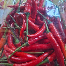 พริกจินดา