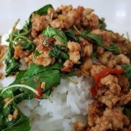 กะเพราผาสุข กะเพราผาสุข