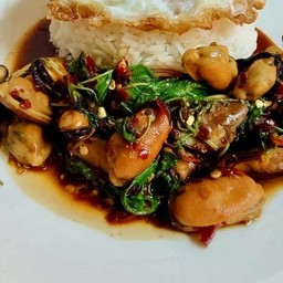 ข้าวกระเพราหอย(ราดข้าว)