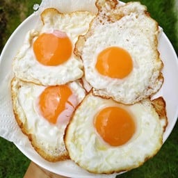 กะเพราไม๊ 🍳