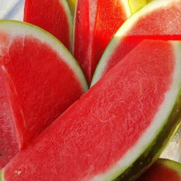 ผลไม้แช่เย็น (Fruit)