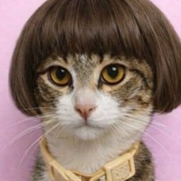 Tip น้องปลาเค็ม ลูกแม๊ๆๆๆๆๆๆ