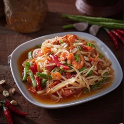 ไทยอีสาน พฤกษา13