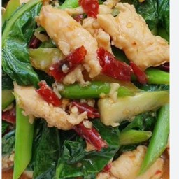 คะน้าผัดอกไก่ ราดข้าว @