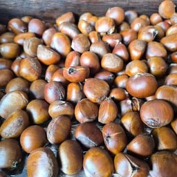 เกาลัดนำโชคญี่ปุ่น(ตลาดแม่เหียะ) สาขาตลาดสดแม่เหียะ