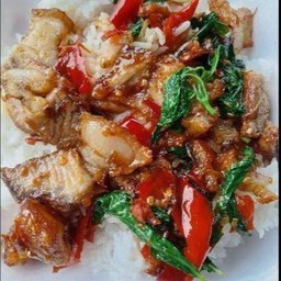 กระเพราหมูกรอบ