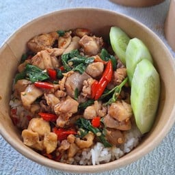 ผัดกะเพราไก่ชี้น ราดข้าว