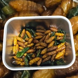 ดักแด้ทอด 100g (น้ำหนักชั่งก่อนทอดนะคะ)