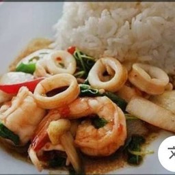 กระเพราทะเล