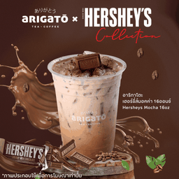 อาริกาโตะเฮอร์ชี่ส์มอคค่า 16ออนซ์