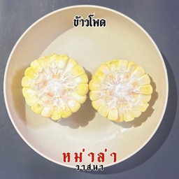 ข้าวโพด 2 ชิ้น