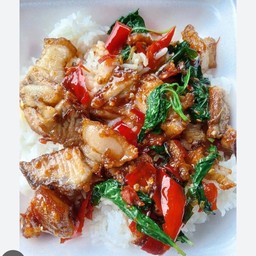 ข้าวกะเพราหมูกรอบ